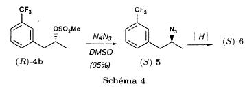 Schema 4