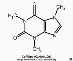 caffeine 2d