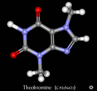 Theobromine Molecule