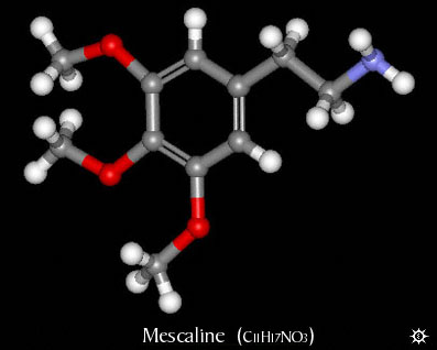 Mescaline Molecule