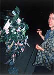 1997_bm_money_tree1.jpg