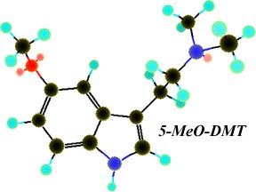 5-MeO-DMT