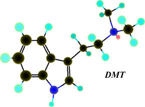 DMT