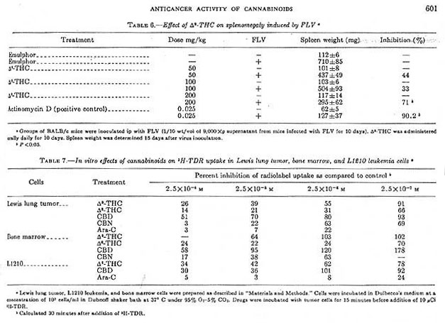 Effect of D9-THC on splenomegaly induced by FLV