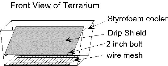 Picture of terrarium