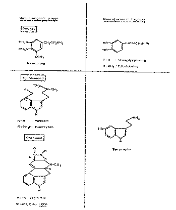 Full size image: 32 kB, Diagram 4