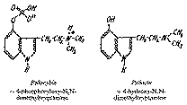 Full size image: 12 kB, Diagram 1