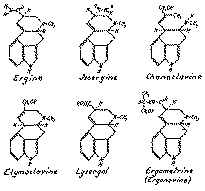 Full size image: 21 kB, Diagram 3