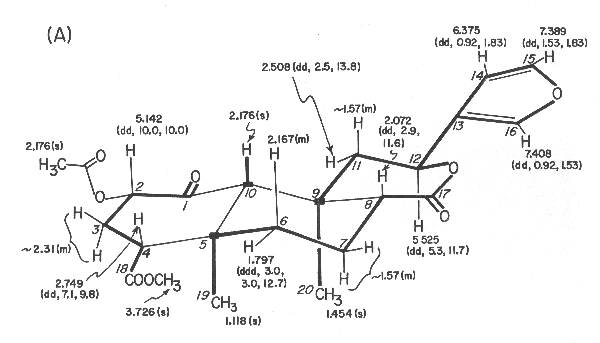 Proton