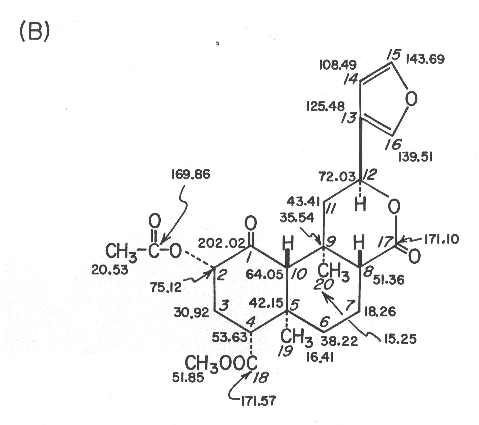 Carbon-13